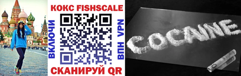 продажа наркотиков  Ишим  Кокаин Fish Scale 