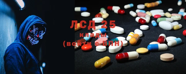 ПСИЛОЦИБИНОВЫЕ ГРИБЫ Алексеевка