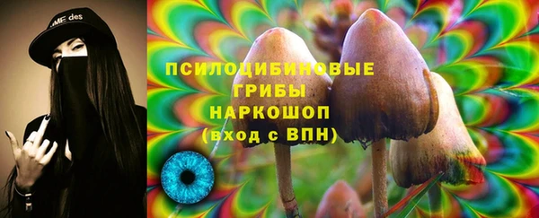 ешки Алзамай