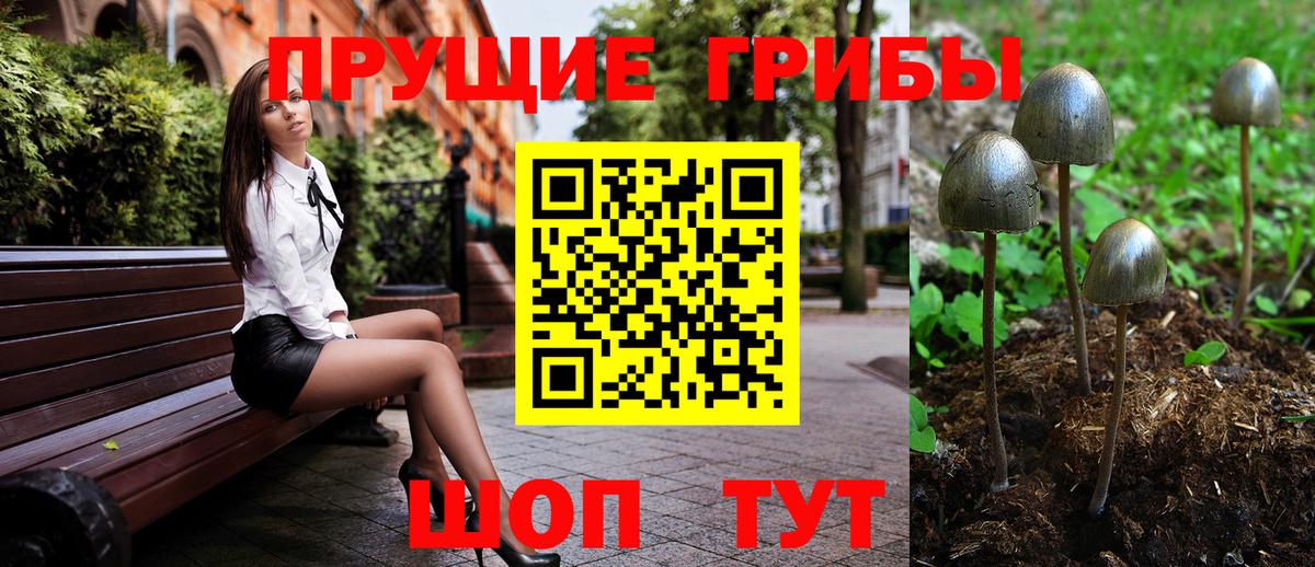 Ишим  Галлюциногенные грибы Psilocybine cubensis  Вход с VPN 