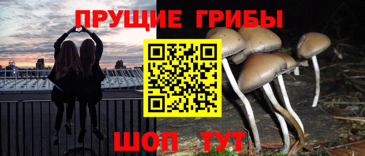 Галлюциногенные грибы мухоморы Ишим